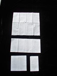 China 25*25cm 2 Ply 15gsm Healthy Facial Paper Napkins support high fold factory