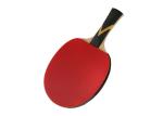 Professional Ayous Table Tennis Bats Sticky Rubber Perfect For All Round Player