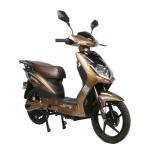 Steel Frame Electric Moped Bike With Pedals LCD Display 48V 31.2Ah Lithium