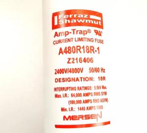 China A480R18R-1 4800V 9F60 R-Rated MEDIUM VOLTAGE Fuse Motor Protection fuses on sale