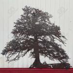 Customizable Tree Shaped Corten Steel Sculpture For Park Decoration