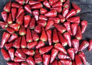 China Stemmed Heaven Facing Chilli Culinary Chaotian Dry Red Chilli factory