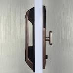 Black Face Recognition Door Lock Smart Eye Recognition Door Lock