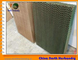 China Evaporative Cooling Pads - Australasian Agricultural Services factory