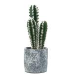 18cm All Season Artificial Potted Floor Plants Mini Bonsai Succulent Countertop