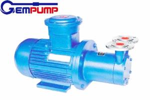 China Cwb Single Stage Magnetic Centrifugal Pump Stainless Steel Horizontal factory