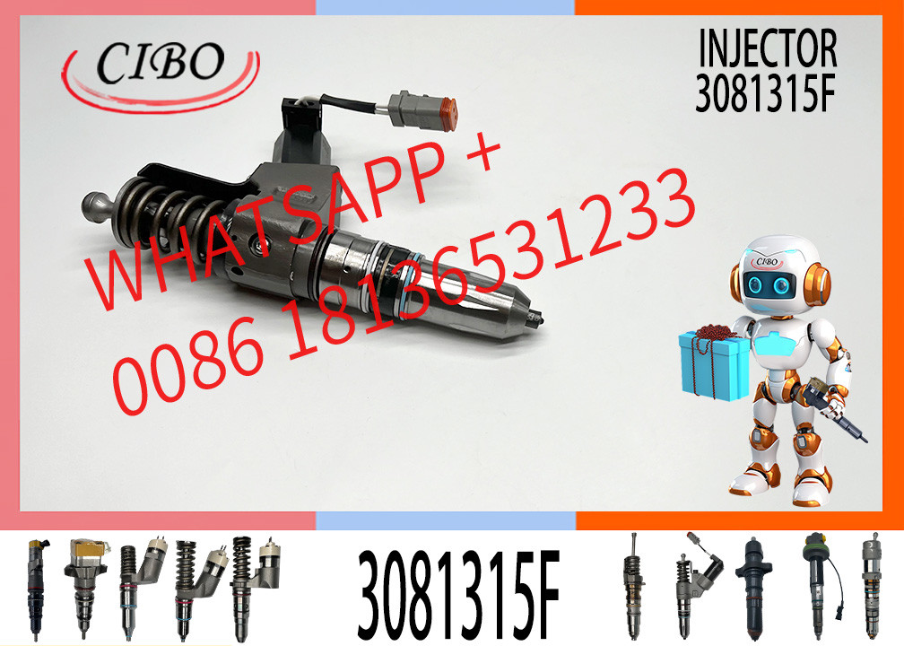 Diesel Fuel Injector 3081315 3073995F 3083846T 3083848F 3411766F 3080931F 3087558F for Cummins QSN14 N14