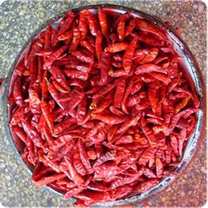 China 3CM Hot Pot Red Bullet Chilli Chaotian Pepper Stick Shape 20000 SHU factory