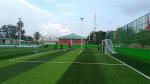 Soccer Fields Synthetic Turf With Rubber Granules Infill Material Located In