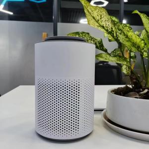 China 6W Plasma Air Purifier for 10M² Rooms ≤55dB Noise on sale