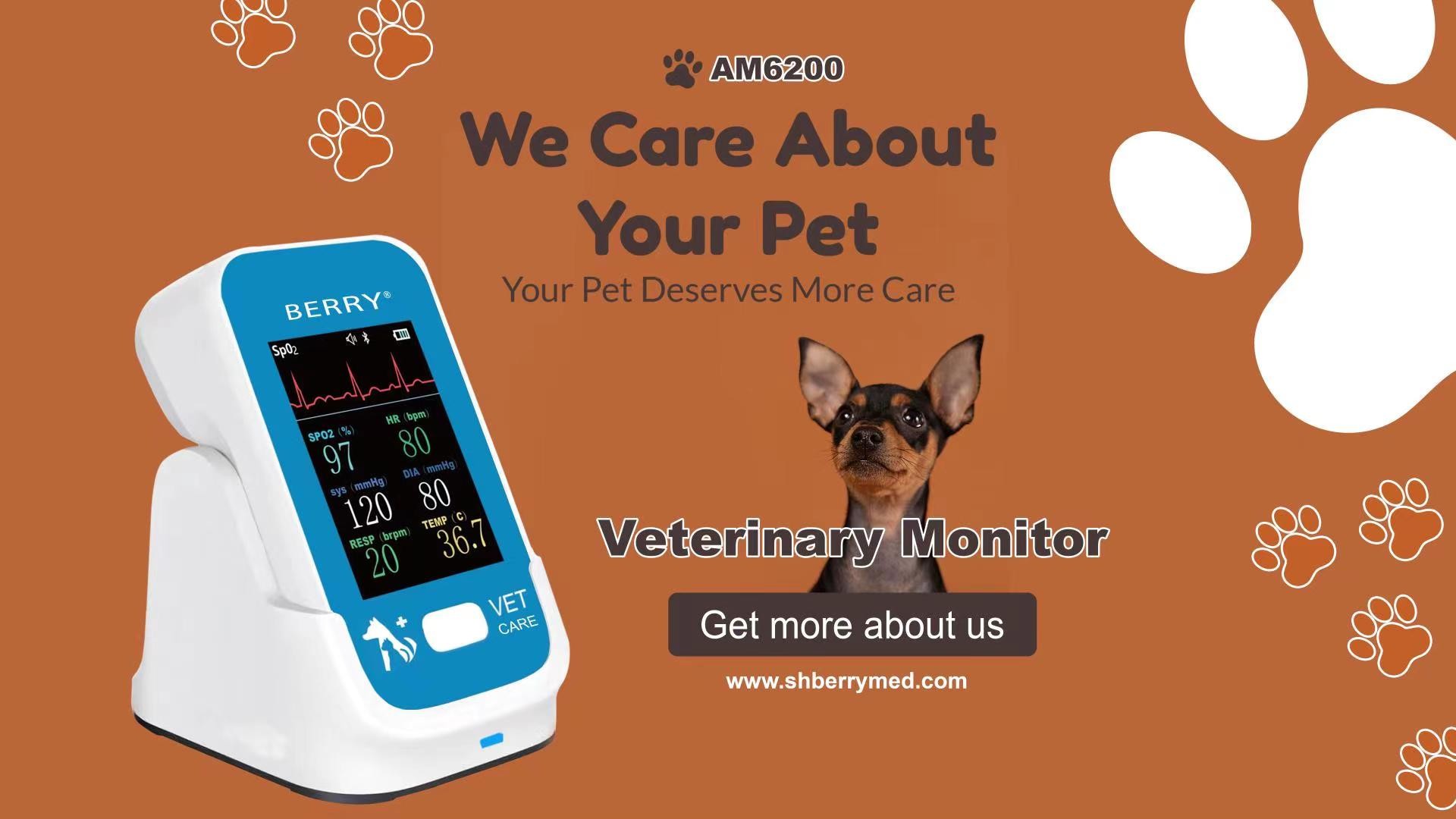 Veterinary Monitor AM6200 with Low Power Consumption ≤20W 145*85*37mm Size