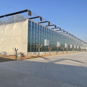 Double Layer Hydroponic System High Tunnel Film Greenhouse with Customization