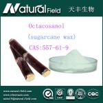 antifatigue octacosanol sugarcane wax extract 90%