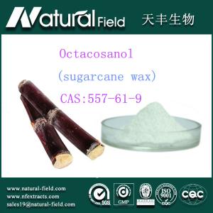 China antifatigue octacosanol sugarcane wax extract 90% factory