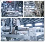 Pesticides GD6-300 Fully Automatic Rotary Bagging Machine