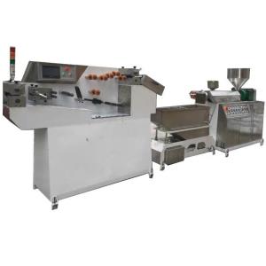 China PP/PE/EVA/PVC Zipper Extruding Machine factory