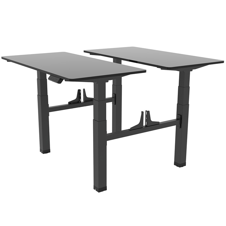 Customized Black and White Metal Dual Motor Electric Sit Stand Desk for Office