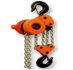 2 Chain Falls Electric Chain Hoist With 10m Lifting Height For Light Oil Tank
