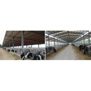 Prefabricated Modular Building for Modern Farms and Equestrian Facilities