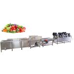 TCA Fruit And Vegetables IQF Freezing Line Frozen Vegetable Green Bean Sweet