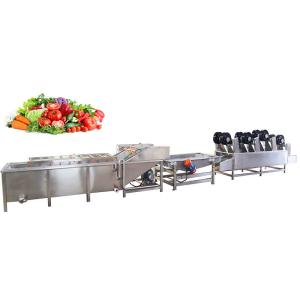 China Commercial Fruit Vegetable Processing Machine Small Automatic 300-1000kg/h factory