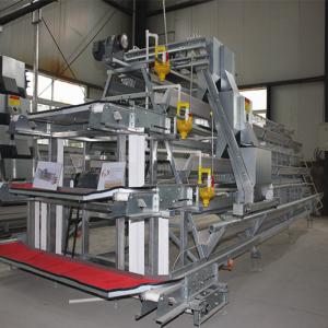 China Galvanized Wire A Type 120 Birds Poultry Battery Chicken Cage For Layers factory