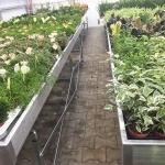 Farming Greenhouse Rolling Benches / Movable Commercial Greenhouse Tables