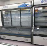 Restaurant Barbecue Commercial Upright Freezer Glass Door for Food Beverage