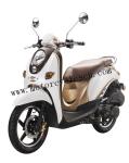 EEC DOT EPA 50cc Gas 2-stroke 4-stroke single-cylinder air-cooled Scooter