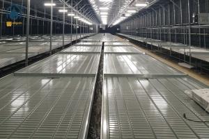 China Vegetable Ebb And Flow Rolling Benches Movable Nursery Tray Hydroponics Flood Table factory
