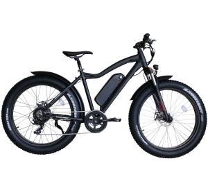 China 48V 500W 750W Electric Fat Tire Bike 26x4 Fat Enduro Electric Bicycle With LCD Display factory