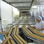 Industrial Automatic Biscuit Feeding System , Stainless Steel Sorting Conveyor