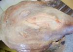 Whole Monkfish Gutted Iqf Brc Haccp Lophius Litulon No Additives Chemical Off