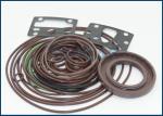 Hydraulic Main Pump Seal Kit Fits For Rexroth A4VG63 Anti-Leak