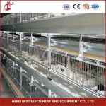 Hot Dipped H 4 Tier Type 25 Years Lifespan Broiler Chicken Cage Doris