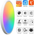 24w Tuya Smart Ceiling Light Colorful Rgb Remote Control Smart Light Led Modern