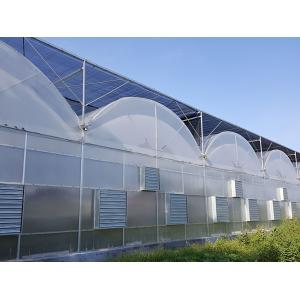 Hydroponic Cultivation Greenhouse Covered with Plastic Sheet and Single Span