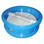 Dual Plate Industrial Check Valves ANSI 150LB JIS 10K PTFE Lined Disc