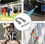 Stainless Steel D-Shackle for Heavy Rigging Strong and Dependable Rigging