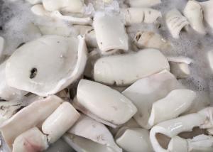 China Frozen Boiled Giant Squid Fillet Bqf Darumar Thickness 6mm - 12mm origin china factory