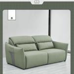 BN Push-Pull Sofa Bed Solid Wood Frame Multifunctional Sofa Bed Electric Switch