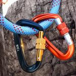 OEM Finish Manufactory Aluminum Climbing Carabiner with Screw Lock Customized