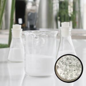 China High UV Resistance Hollow Glass Bubbles Nonflammable Hollow Microspheres factory