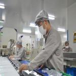ZX Medical Sodium Chloride Salt Water Production Line Industries Manufacturing