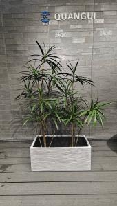 China Modern Reinforced Clay Planter Customed For Your Garden Aesthetics factory