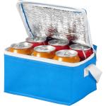 Thermal Insulated Carry On Picnic Cooler Bag Waterproof Zipper Closure