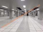 Large Capacity Cold Room Cold Storage Engineering & Technologies For Frozen