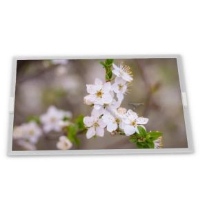 China High Resolution 20.1-Inch WLED LCD Display Module Custom ODM Specific Application 1600*1200 TFT IPS Panel RGB LM201U04-SL03 factory