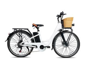 China 26 Inch 36V 250W Rear Hub Electric Bike With Front Disc Rear Disc Brake factory