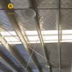 Large Span Steel Frame Building Construction Lightweight Prefabricated Steel